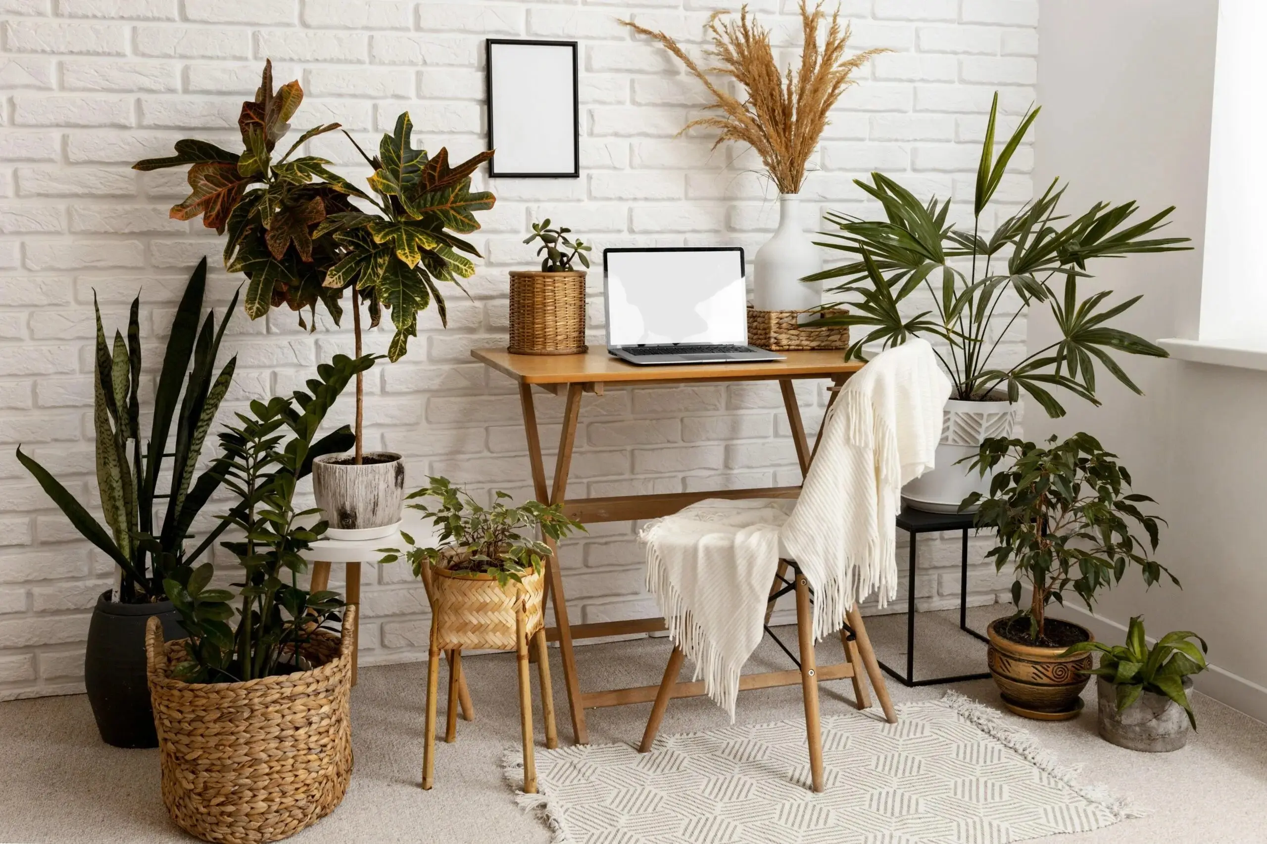 Calm and serene wellness room with plants